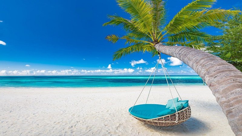 Travel News